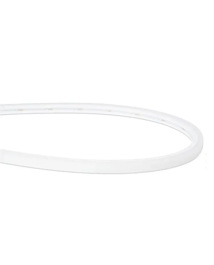 10MM Waterproof Side Light Neon Flexible Strip Lights / product image
