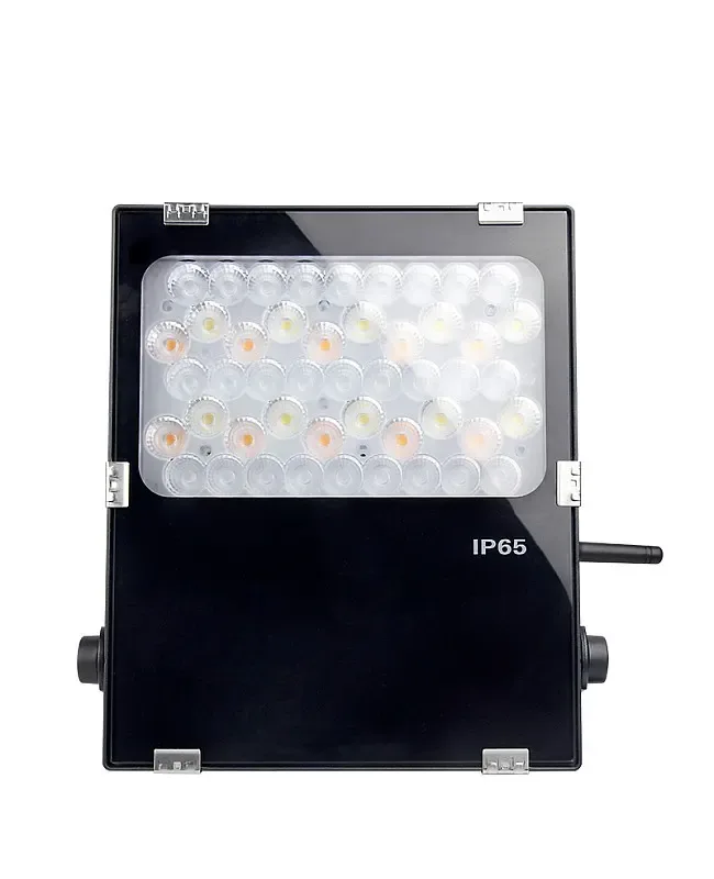 50W LoRa RGB CCT Outdoor LED Flood Lights detail 03