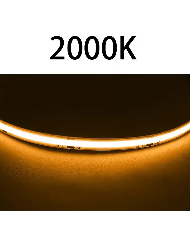 8MM 12V/24V 480LEDs COB LED Strips detail 05