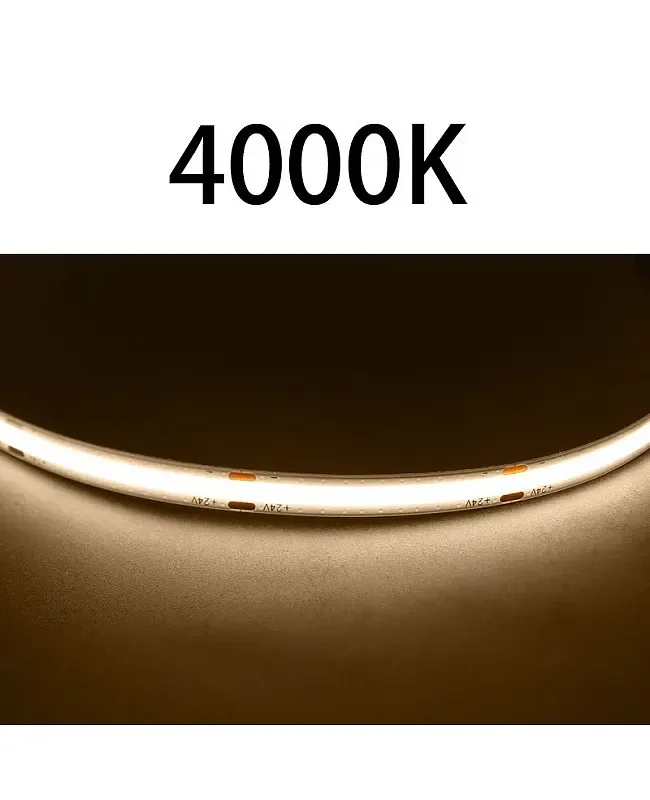 8MM 12V/24V 480LEDs COB LED Strips detail 08