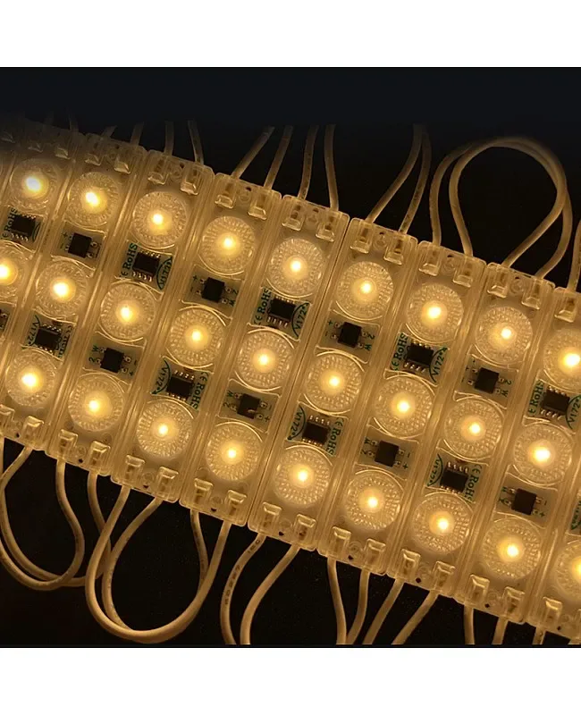 110V/220V Waterproof 3 LEDs AC LED Modules detail 06