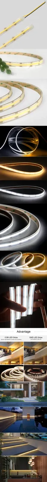 5m Tunable White Weatherproof Outdoor LED Strip Lights 24V IP67 detail 07