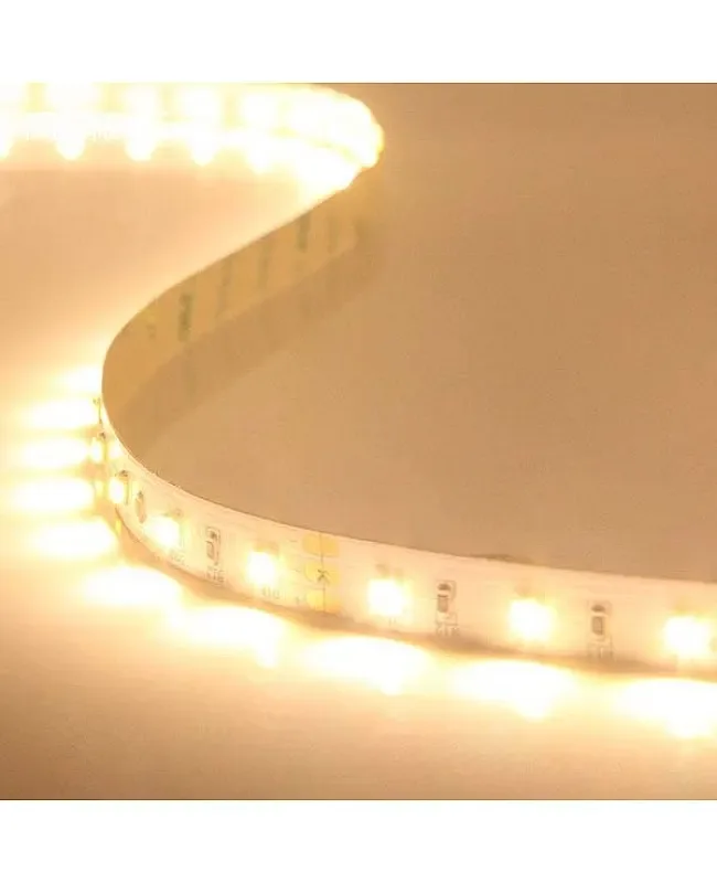 3527 CCT Tunable White LED Light Strips For Room Reel detail 07