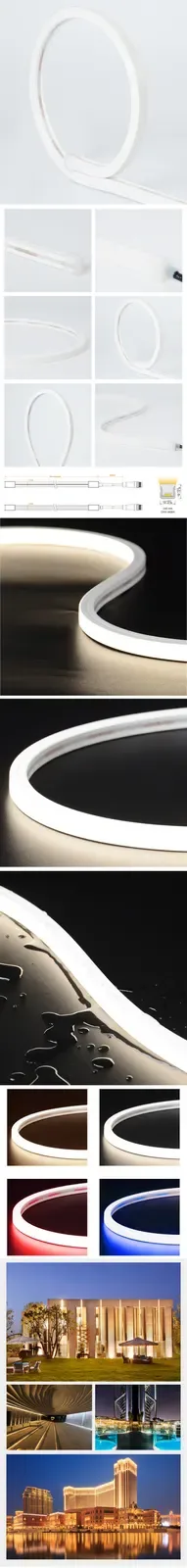 12*12MM Dot Free Top Bend DC24V Waterproof Silicone LED Neon Tapes 16.4FT detail 10