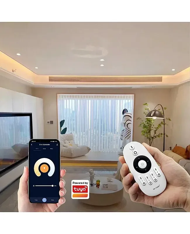 WR 2 In 1 WiFi Smart Strip Lighting Dimmers detail 05