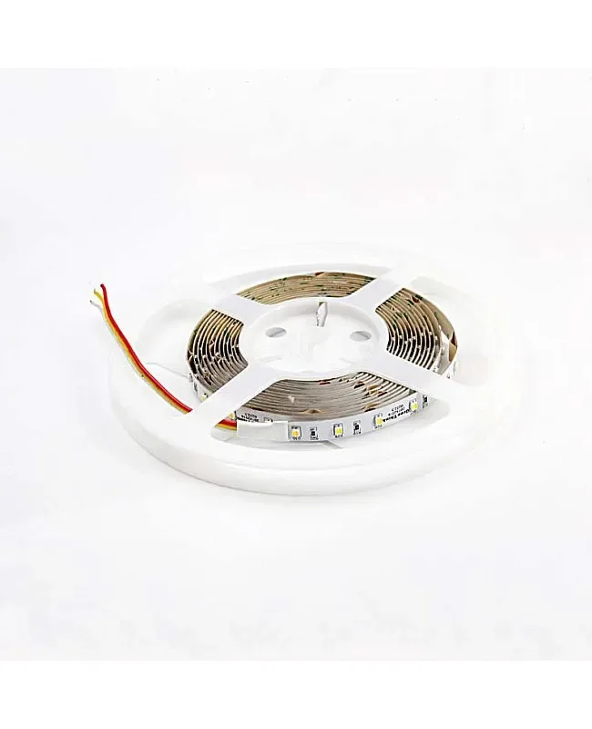 3527 CCT Tunable White LED Light Strips For Room Reel detail 04