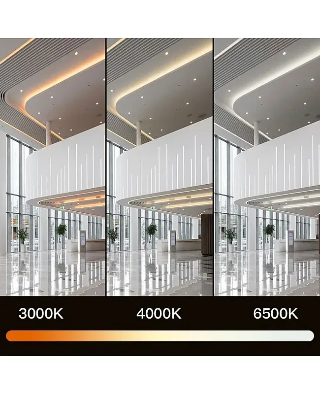 15MM Bright High Power COB LED Strips 24V detail 08