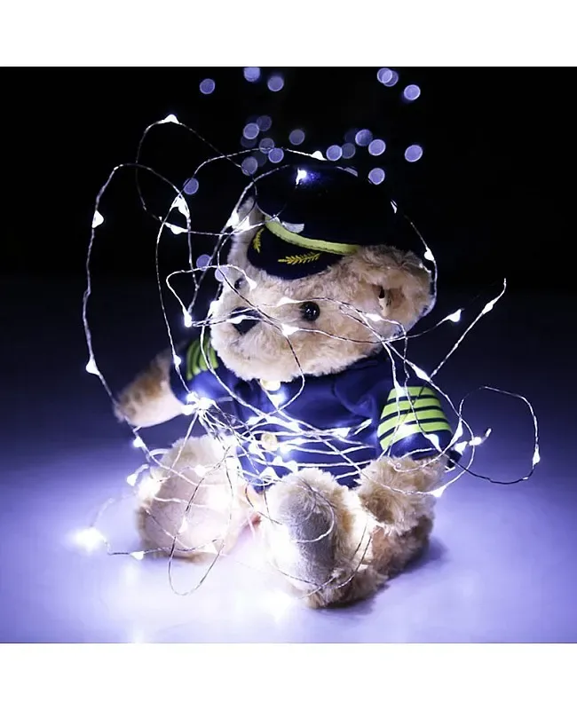 LED Wire Lights With USB Cable detail 06