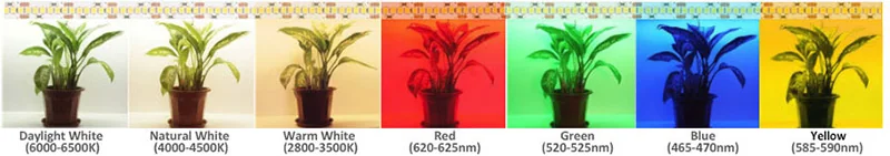 Reference diagram of LED light color choices